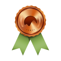 Medalha de bronze